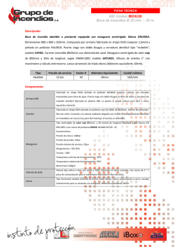 Descargar Ficha - Grupo de Incendios
