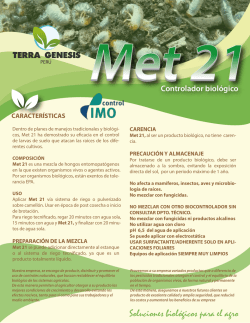 ficha met21 PERU WEB