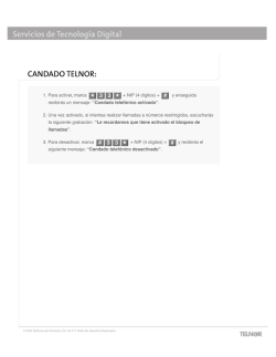 Descarga la Gu&iacute;a de Candado telnor