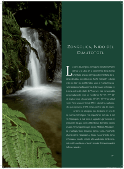 ZONGOLICA, NIDO DEL CUAUTOTOTL