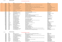 joven final_24 - Kennel Club de Chile