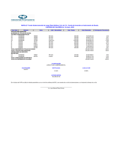 NAFG-LP Fondo Gubernamental de Largo Plazo Nafinsa