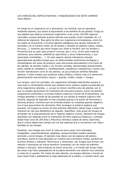 M&aacute;s informaci&oacute;n aqu&iacute;