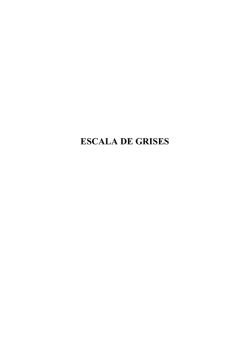 Escala de grises de Sonia Mart&iacute;nez L&oacute;pez