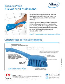 Nuevos cepillos de mano