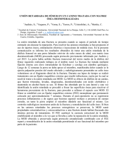 uni&oacute;n retardada de f&eacute;mur en un canino tratada con matriz &oacute;sea