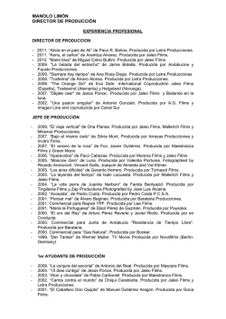 CURRICULUM VITAE de Manuel Fern&aacute;ndez Lim&oacute;n