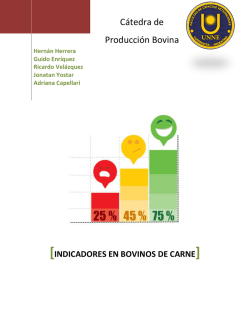 Indicadores producci&oacute;n de carne bovina