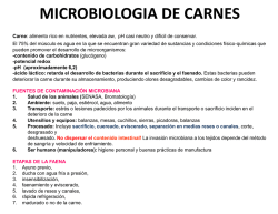 microbiologia de carnes