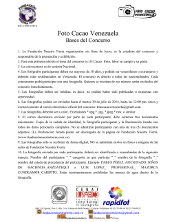 Foto Cacao Venezuela - Fundaci&oacute;n Nuestra Tierra