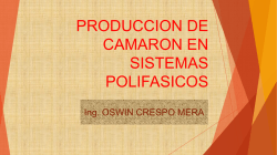 Experiencia con la producci&oacute;n de camar&oacute;n en un sistema bif&aacute;sico