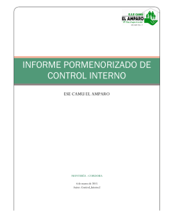 informe pormenorizado de control interno
