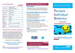 Terapia Individual Sist&eacute;mica - Experto en Intervenciones Sist&eacute;micas