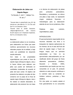 Elaboraci&oacute;n de Jalea con Zapote Negro