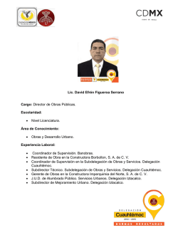 Lic. David Efr&eacute;n Figueroa Serrano Cargo: Director de Obras