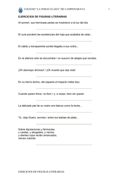 Ejercicios de figuras ret&oacute;ricas.