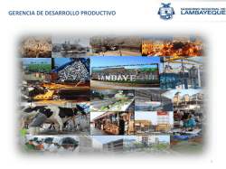 Patricia Ocampo Escalante, Gerente de Desarrollo Productivo del