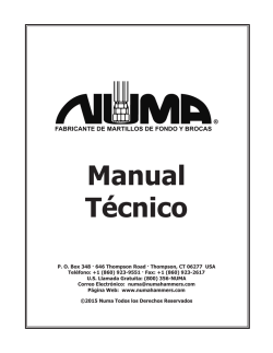 Manual T&eacute;cnico