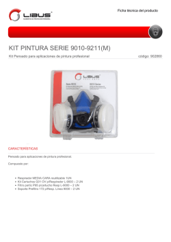 KIT PINTURA SERIE 9010-9211(M)