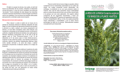 Ver/Abrir - Biblioteca INIFAP