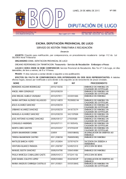 EXCMA. DEPUTACI&Oacute;N PROVINCIAL DE LUGO