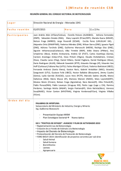 1 |Minuta de reuni&oacute;n CSB