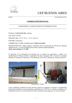 "INFIERNO GRANDE" CAPIANGOS S.R.L.