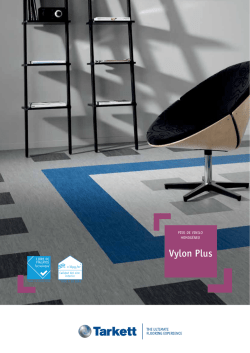 Vylon Plus - Anclaflex