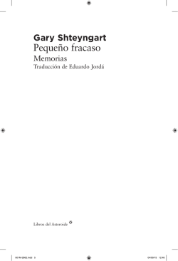 Peque&ntilde;o fracaso