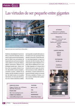 Las virtudes de ser peque&ntilde;o entre gigantes