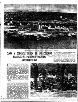 cura y concreta misi&oacute;n de las colonias infantiles del patronato