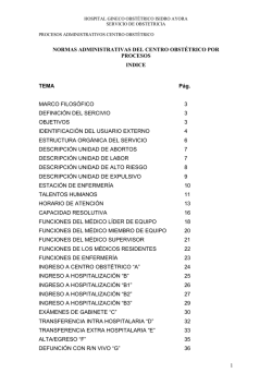 PLAN ESTRATEGICO CENTRO OBSTETRICO