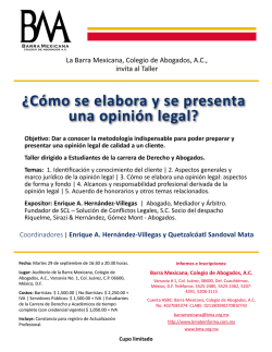 &iquest;C&oacute;mo se elabora y se presenta una opini&oacute;n - BMA