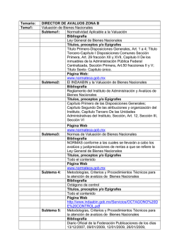 Director de Aval&uacute;os Zona B.