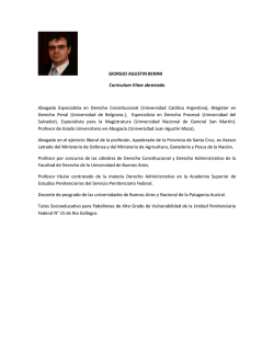 GIORGIO AGUSTIN BENINI Curriculum Vitae abreviado Abogado