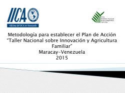 Metodolog&iacute;a para establecer el Plan de Acci&oacute;n &ldquo;Taller