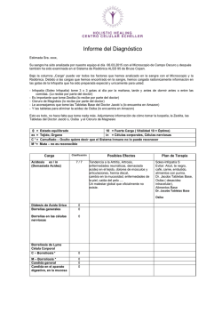 puedes ver un ejemplo de del informe del diagn&oacute;stico.