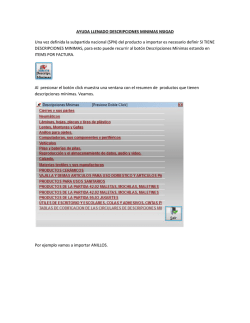 AYUDA LLENADO DESCRIPCIONES MINIMAS NSIGAD Una vez