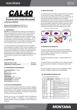 ficha t&eacute;cnica