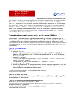 Orquiectom&iacute;a y ovariohisterectom&iacute;a/ ovariectom&iacute;a: PERROS.