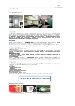 SGG SATINOVO DUO Vidrio con acabado satinado. DESCRIPCI&Oacute;N