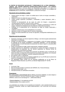 (1) cargo en la carrera de CPA, categor&iacute;a de Profesional para la