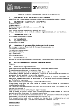 FICHA T&Eacute;CNICA IMAVEROL 100 mg/ml