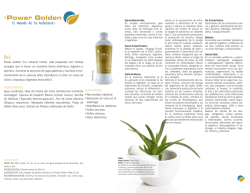 Power Golden Co-l extracto herbal, est&aacute; preparado con hierbas
