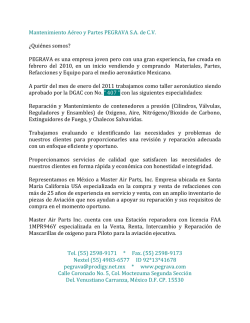 Mantenimiento A&eacute;reo y Partes PEGRAVA SA de CV &iquest;Qui&eacute;nes somos?