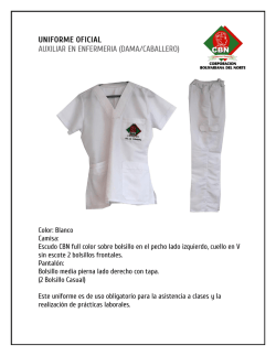 Auxiliar en Enfermer&iacute;a