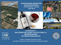 Levaduras y bacterias del &aacute;cido l&aacute;ctico para la diferenciaci&oacute;n de