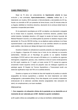 CASO PR&Aacute;CTICO 1: