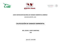 CALIFICACI&Oacute;N DE GANADO SIMMENTAL