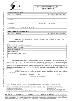 SOLICITUD LICENCIA DE OBRA MENOR